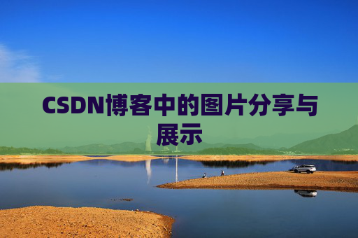 CSDN博客中的图片分享与展示
